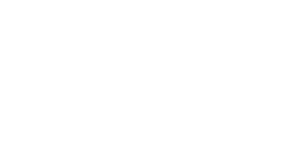 Logo dystecaprint blanco